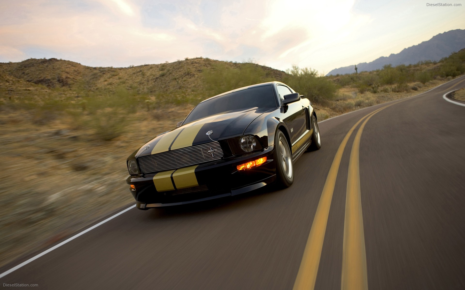 Ford Shelby GT-H